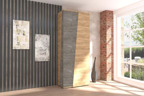 Аллегро-10 Шкаф двухдверный Диал в Лангепасе - langepas.mebel-tymen.ru | фото