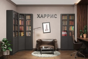 Библиотека Харрис в Лангепасе - langepas.mebel-tymen.ru | фото