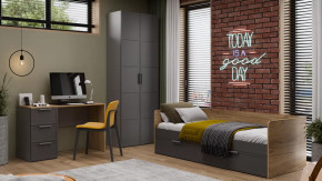 Детская «Стелла» Серый вулкан, Фон Серый, Яблоня Беллуно в Лангепасе - langepas.mebel-tymen.ru | фото