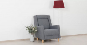 Дилан Кресло для отдыха арт. ТК 423 в Лангепасе - langepas.mebel-tymen.ru | фото