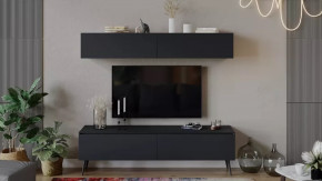 Гостиная «Глосс» №2 Яблоня Беллуно/Cтекло Графит матовый/Серый в Лангепасе - langepas.mebel-tymen.ru | фото