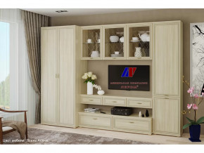 Гостиная Карина набор 23 в Лангепасе - langepas.mebel-tymen.ru | фото