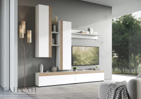 Гостиная НАО-Моно №1 в Лангепасе - langepas.mebel-tymen.ru | фото