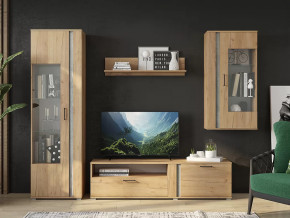 Гостиная Омега в Лангепасе - langepas.mebel-tymen.ru | фото