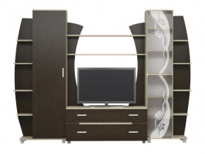 Гостиная Тиана-3 (Дуб Белфорт/Дуб Венге) в Лангепасе - langepas.mebel-tymen.ru | фото