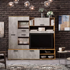 Гостиная Трамп ЦС-05 в Лангепасе - langepas.mebel-tymen.ru | фото