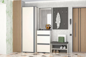 Иннэс-12  Прихожая №1 Диал в Лангепасе - langepas.mebel-tymen.ru | фото