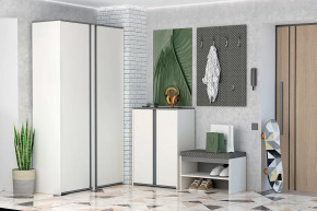 Иннэс-12 Прихожая №2 Диал в Лангепасе - langepas.mebel-tymen.ru | фото