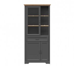 JASMIN шкаф REG1W2D1S (Графит/ Дуб артизан) в Лангепасе - langepas.mebel-tymen.ru | фото