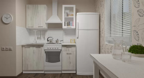 Кухонный гарнитур Алина мини 1000 мм в Лангепасе - langepas.mebel-tymen.ru | фото