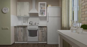 Кухонный гарнитур Инна мини 1000 мм в Лангепасе - langepas.mebel-tymen.ru | фото