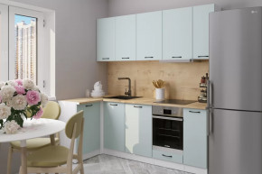 Кухонный гарнитур Лиора прайм 400 1100х2000 мм в Лангепасе - langepas.mebel-tymen.ru | фото