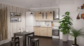 Кухонный гарнитур Ника стандарт 1600 мм в Лангепасе - langepas.mebel-tymen.ru | фото