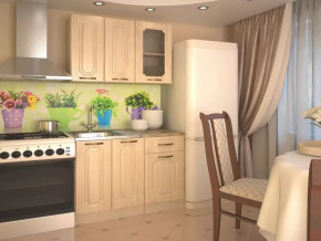 Кухонный прямой гарнитур 2, 1000 мм, Грецкий орех в Лангепасе - langepas.mebel-tymen.ru | фото