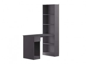 Лайт Шкаф комбинированный 10.01 (Темно-серый) в Лангепасе - langepas.mebel-tymen.ru | фото