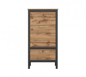 LOFT шкаф REG1D1S/60 (Дуб вотан/Черный) в Лангепасе - langepas.mebel-tymen.ru | фото