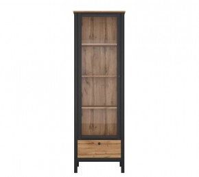 LOFT шкаф REG1W1S (Дуб вотан/Черный) в Лангепасе - langepas.mebel-tymen.ru | фото