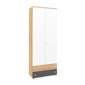 Лойс 92 Шкаф для одежды и белья в Лангепасе - langepas.mebel-tymen.ru | фото