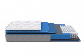 Матрас SS/M (Medium Low Plus) 900*2000 мм в Лангепасе - langepas.mebel-tymen.ru | фото