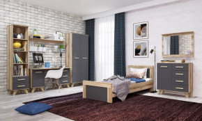 Молодёжная №ДКС-1 "Вега Скандинавия" Дуб каньон/Силк флай в Лангепасе - langepas.mebel-tymen.ru | фото