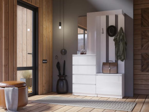 Прихожая Челси белый в Лангепасе - langepas.mebel-tymen.ru | фото