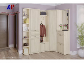 Прихожая Карина набор 5 в Лангепасе - langepas.mebel-tymen.ru | фото