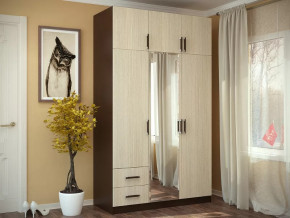 Шкаф 3-х створчатый с перегородкой венге/лоредо БТС в Лангепасе - langepas.mebel-tymen.ru | фото