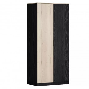 Шкаф двухстворчатый для одежды Дельта Лофт 13.02 в Лангепасе - langepas.mebel-tymen.ru | фото