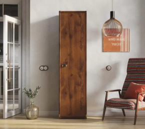 Шкаф JREG 1d Дуб саттер ИНДИАНА в Лангепасе - langepas.mebel-tymen.ru | фото