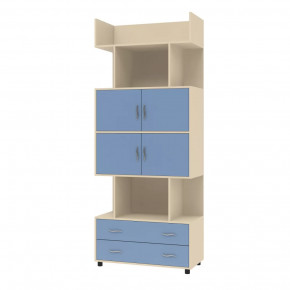 Шкаф комбинированный Дельта-5.03 в Лангепасе - langepas.mebel-tymen.ru | фото