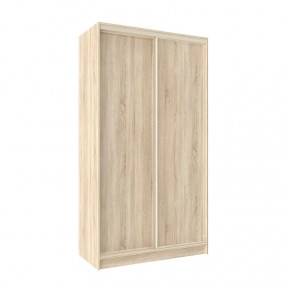 Шкаф-купе 1200 Домашний лдсп/лдсп в Лангепасе - langepas.mebel-tymen.ru | фото