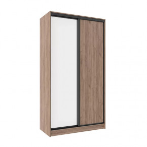 Шкаф-купе 1200 Домашний (зеркало/лдсп) в Лангепасе - langepas.mebel-tymen.ru | фото