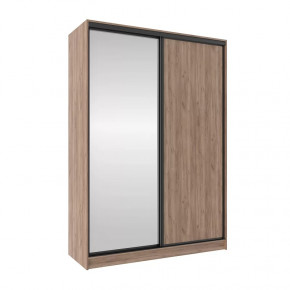 Шкаф-купе 1600 Домашний (зеркало/лдсп) в Лангепасе - langepas.mebel-tymen.ru | фото