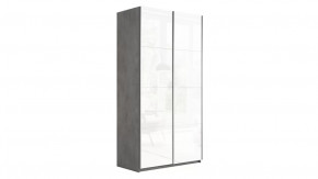 Шкаф-купе 2-х дверный «Траст» в Лангепасе - langepas.mebel-tymen.ru | фото