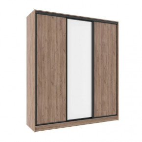 Шкаф-купе 2000 Домашний (зеркало/лдсп) в Лангепасе - langepas.mebel-tymen.ru | фото