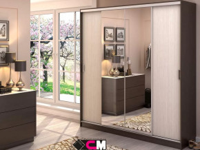 Шкаф-купе Альянс 2000 в Лангепасе - langepas.mebel-tymen.ru | фото