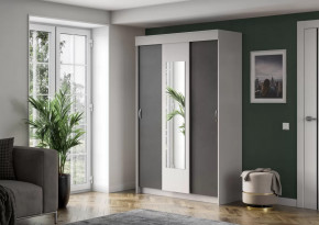 Шкаф-купе Бассо в Лангепасе - langepas.mebel-tymen.ru | фото