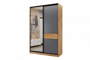 Шкаф-купе SLIM двухдверный BS15-6.ZD в Лангепасе - langepas.mebel-tymen.ru | фото