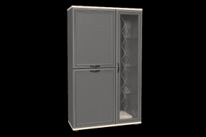 Шкаф многоцелевой ШК-1082 Карина в Лангепасе - langepas.mebel-tymen.ru | фото