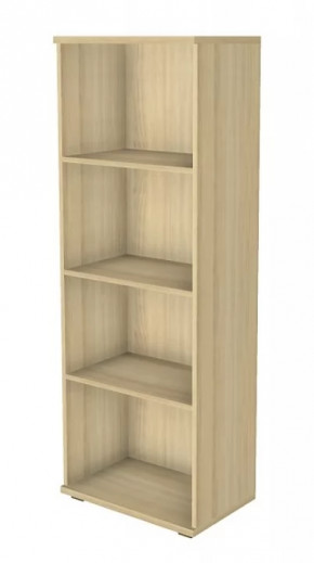 Шкаф многоцелевой ШК-1088 Карина в Лангепасе - langepas.mebel-tymen.ru | фото