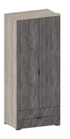 Шкаф Шаде ШК-2905 в Лангепасе - langepas.mebel-tymen.ru | фото