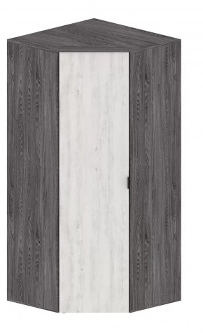 Шкаф Шаде ШК-2910 в Лангепасе - langepas.mebel-tymen.ru | фото