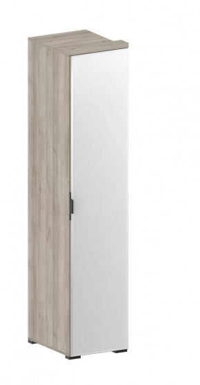 Шкаф Шаде ШК-2912 в Лангепасе - langepas.mebel-tymen.ru | фото