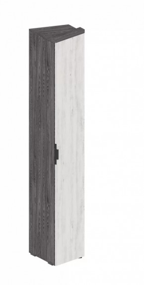 Шкаф Шаде ШК-2931 в Лангепасе - langepas.mebel-tymen.ru | фото