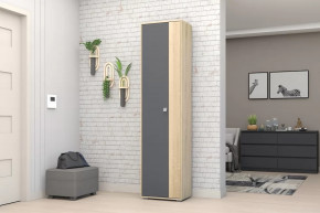 Шкаф ШК-01 Монако в Лангепасе - langepas.mebel-tymen.ru | фото