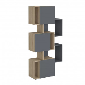 Стеллаж Дублин в Лангепасе - langepas.mebel-tymen.ru | фото