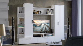 Стенка «Дакота» Белый Ясень в Лангепасе - langepas.mebel-tymen.ru | фото