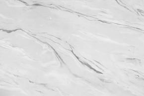 Стеновая панель №43, 3000*600*6 мм, аргус светлый в Лангепасе - langepas.mebel-tymen.ru | фото