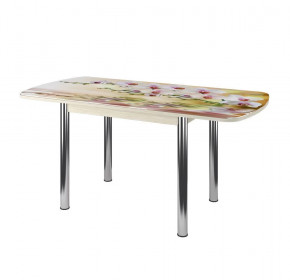 Стол Бостон-3 раздвижной, фотопечать Орхидея на воде/венге/хром брифинг в Лангепасе - langepas.mebel-tymen.ru | фото