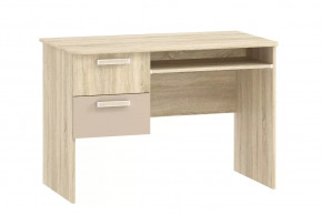 Стол для компьютера НМ 009.19-05 М2 Акварель в Лангепасе - langepas.mebel-tymen.ru | фото